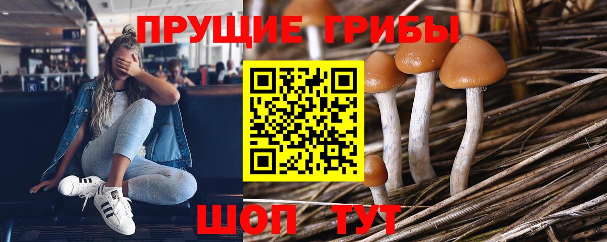 Галлюциногенные грибы мицелий  купить наркоту  Саяногорск  Вход с VPN 